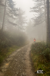 2025-03-20 Chianti Ultra Trail - IMG_6779